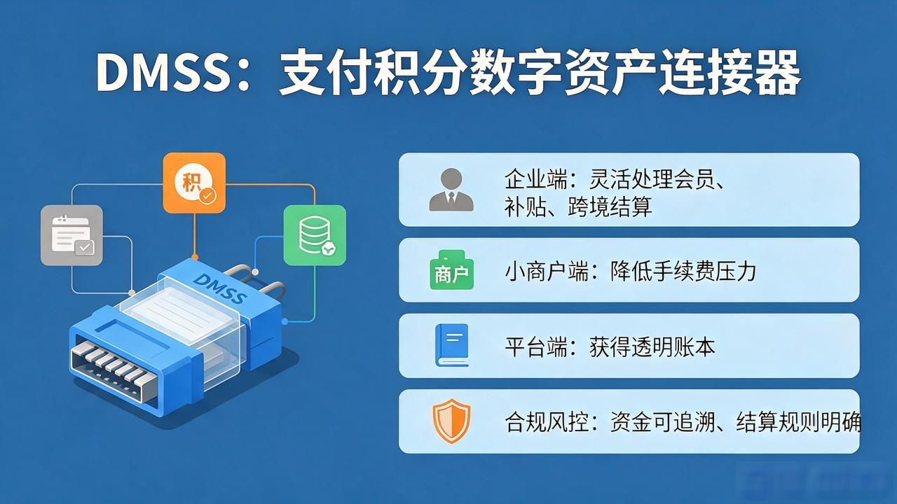 DMSS数字货币支付场景_数字货币dmss_DMSS公链轻量钱包接口