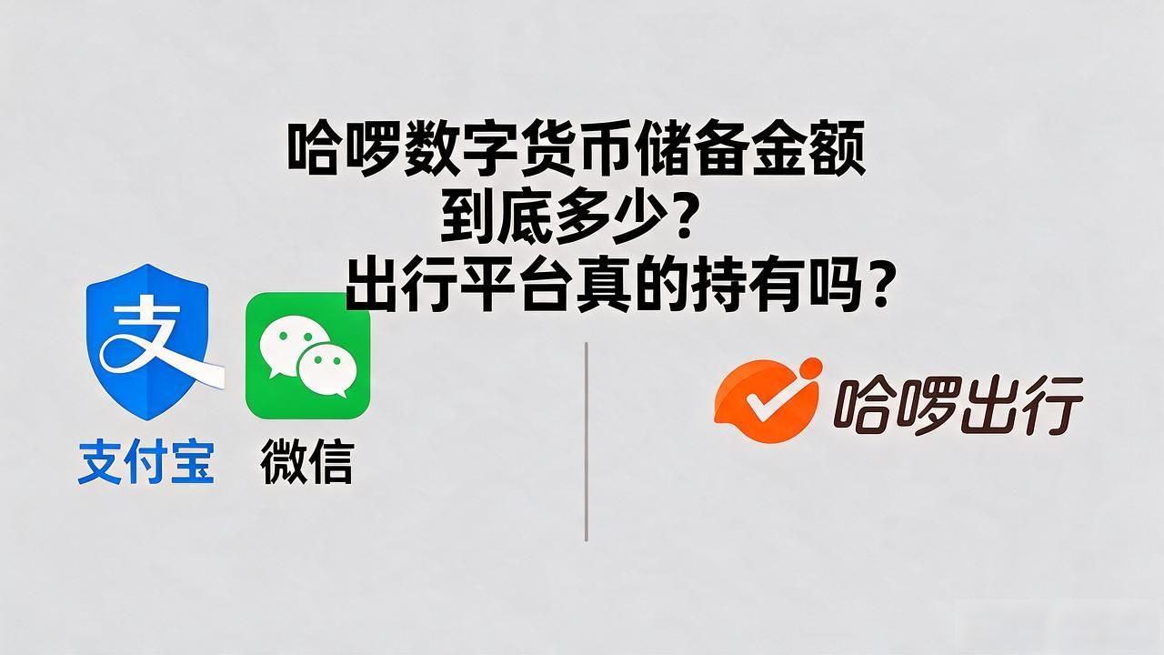 哈啰数字货币储备金额_哈啰出行是否持有数字货币_哈啰出行加密货币储备真相